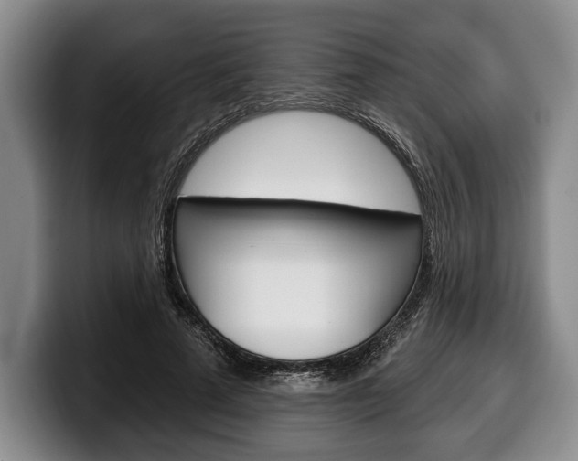 X0000100330689200806051204