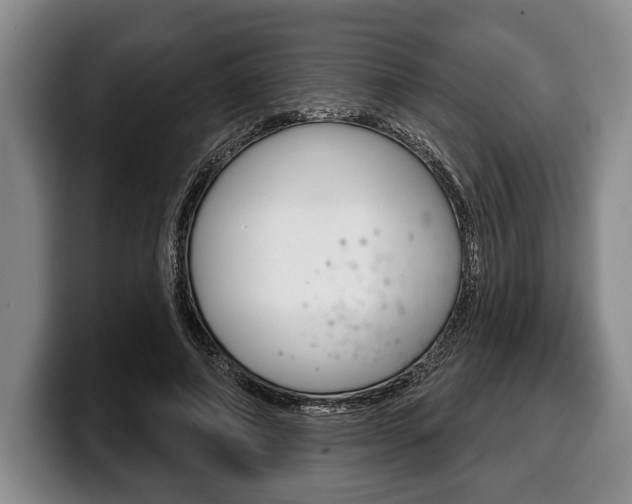 X0000100330690200806051204