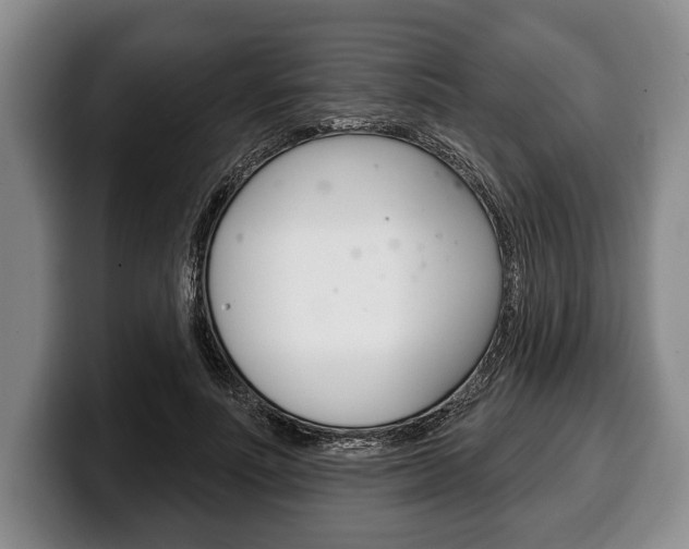 X0000100330691200806051204