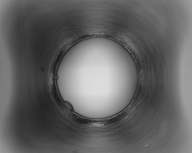 X0000100330692200806051204