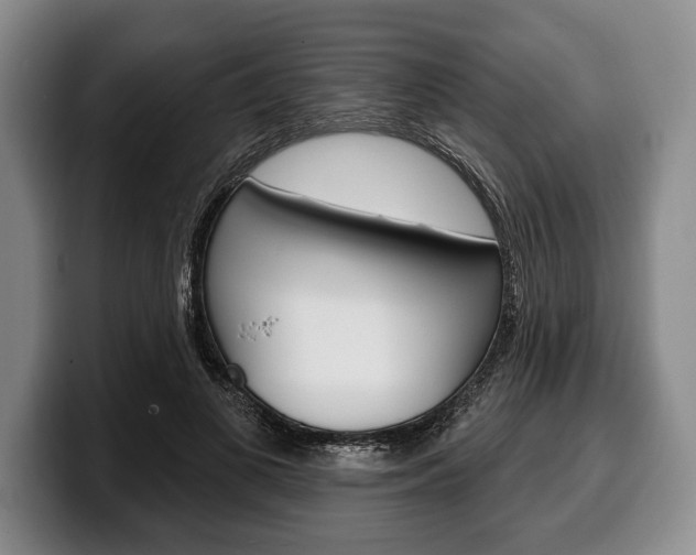 X0000100330693200806051204