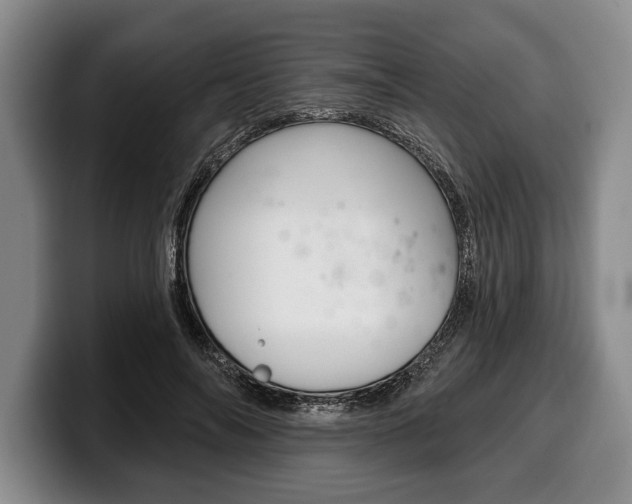 X0000100330694200806051204