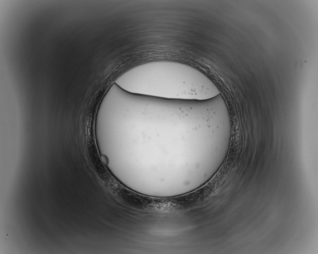 X0000100330695200806051204