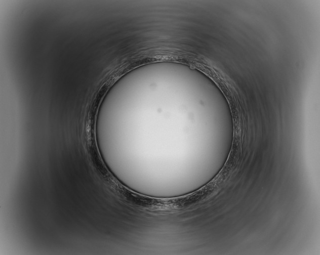 X0000100330696200806051204
