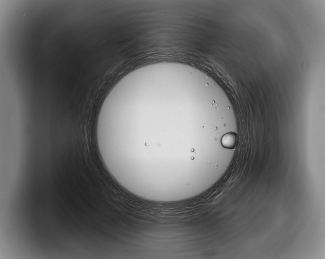 X0000100330697200806051204