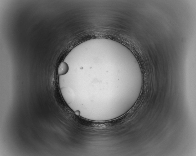 X0000100330698200806051204