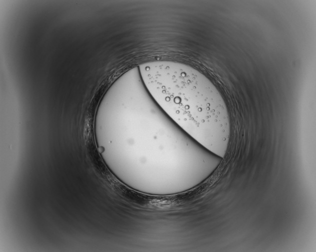 X0000100330699200806051204