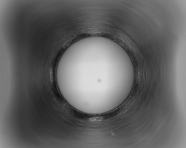 X0000100330700200806051204