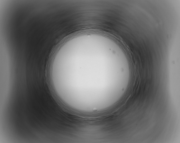 X0000100330701200806051204