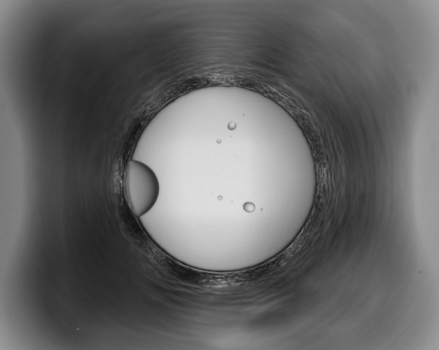X0000100330702200806051204
