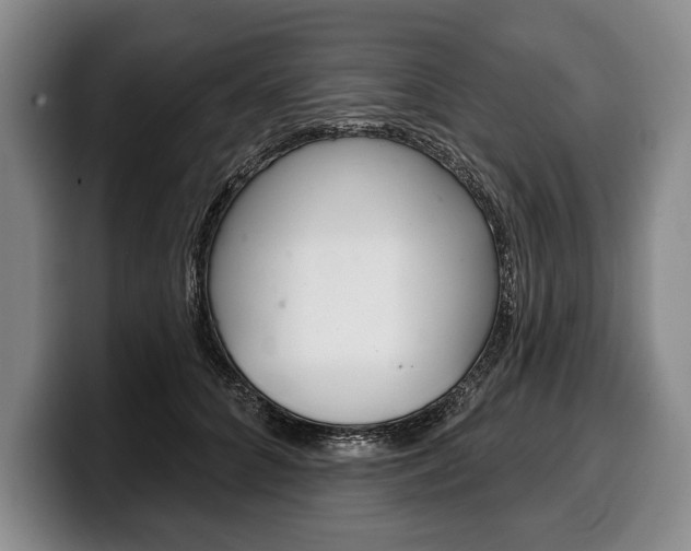X0000100330704200806051204