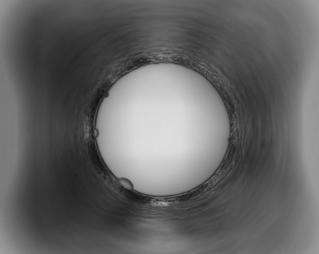 X0000100330706200806051204
