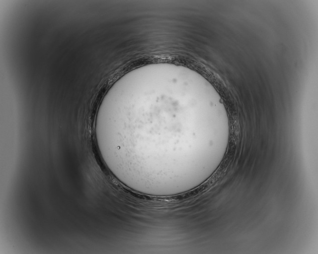 X0000100330707200806051204