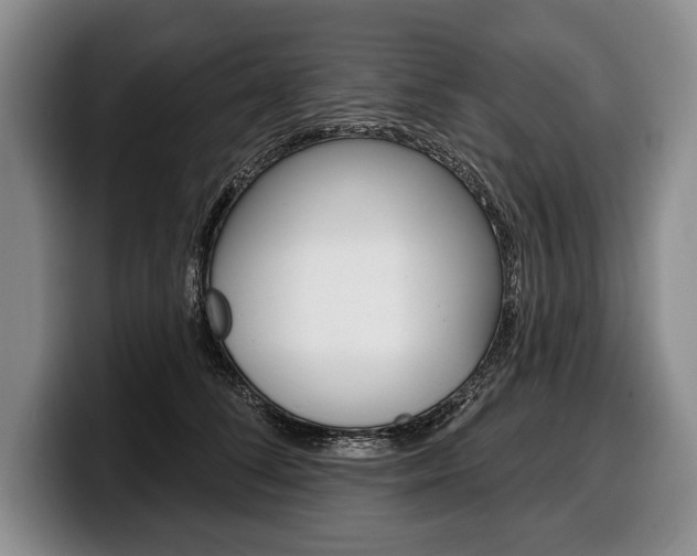 X0000100330708200806051204