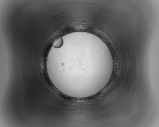 X0000100330710200806051204