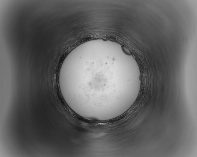 X0000100330711200806051204