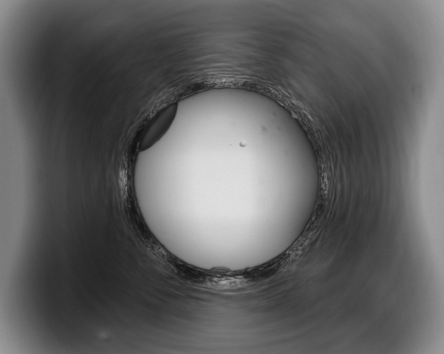 X0000100330716200806051204