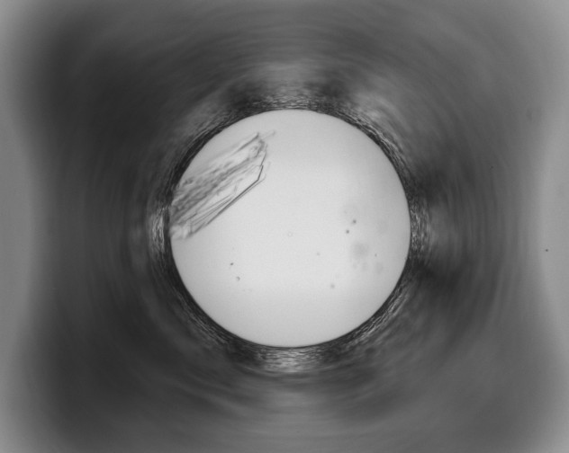 X0000100330717200806051204