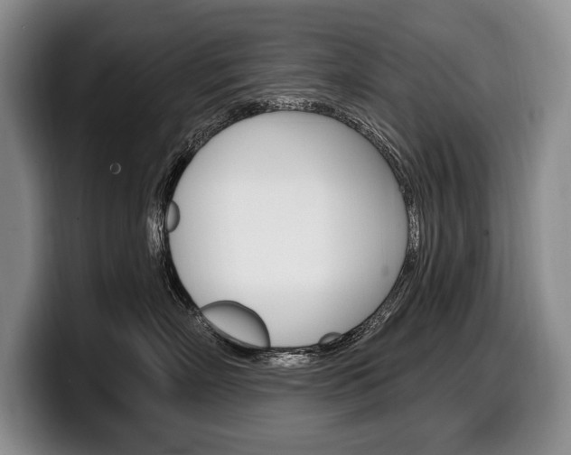 X0000100330718200806051204
