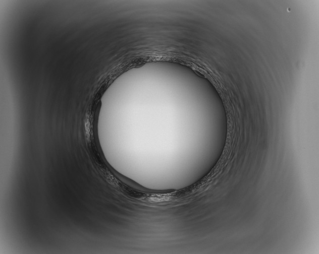 X0000100330720200806051203