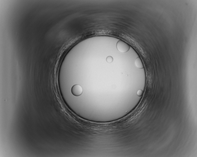 X0000100330721200806051203