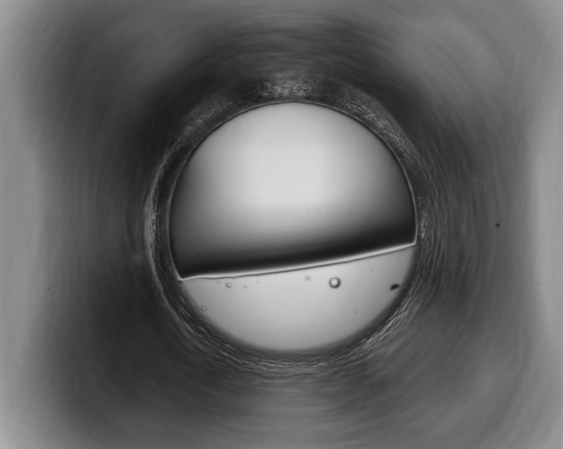 X0000100330722200806051203