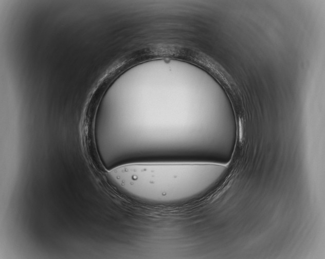 X0000100330723200806051203
