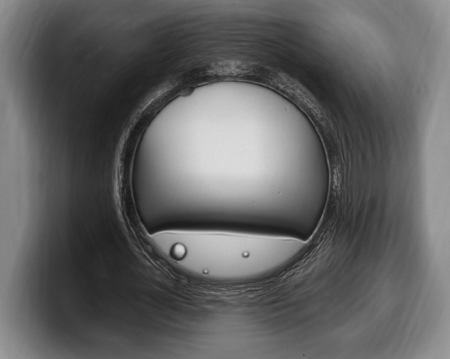 X0000100330724200806051203
