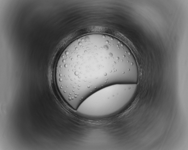 X0000100330725200806051203