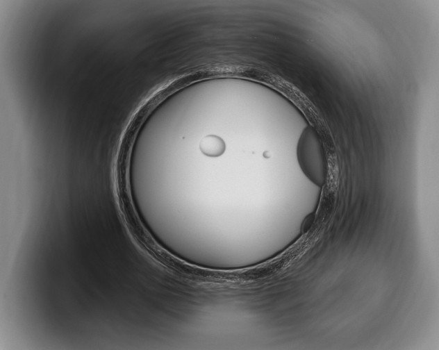 X0000100330726200806051203
