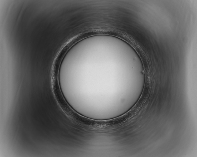 X0000100330728200806051203