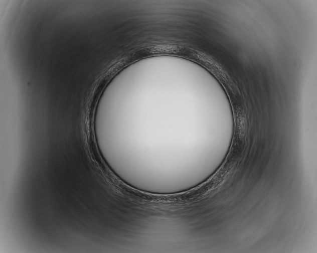 X0000100330729200806051203
