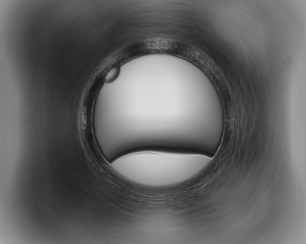 X0000100330731200806051203