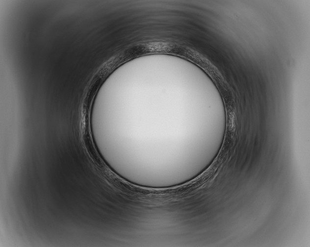 X0000100330733200806051203