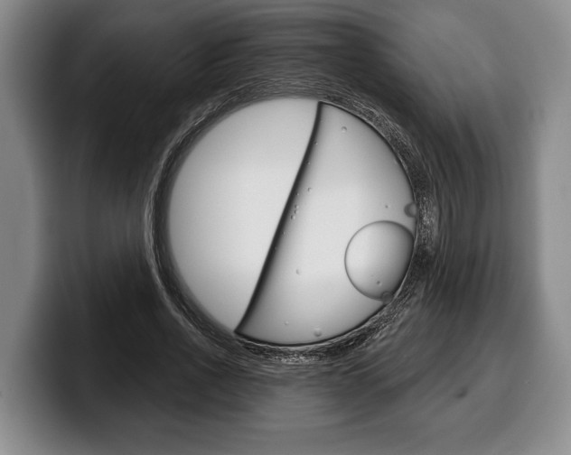X0000100330734200806051203
