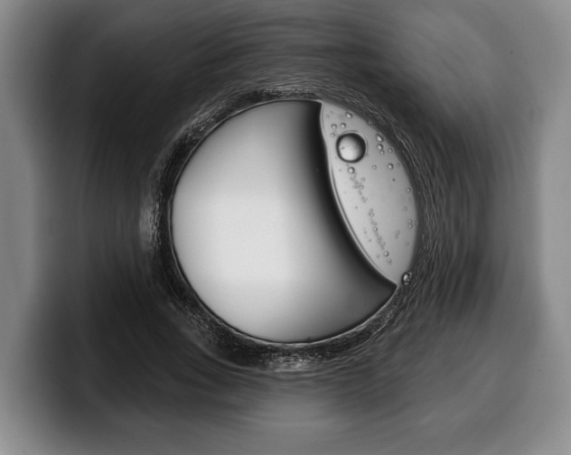 X0000100330735200806051203