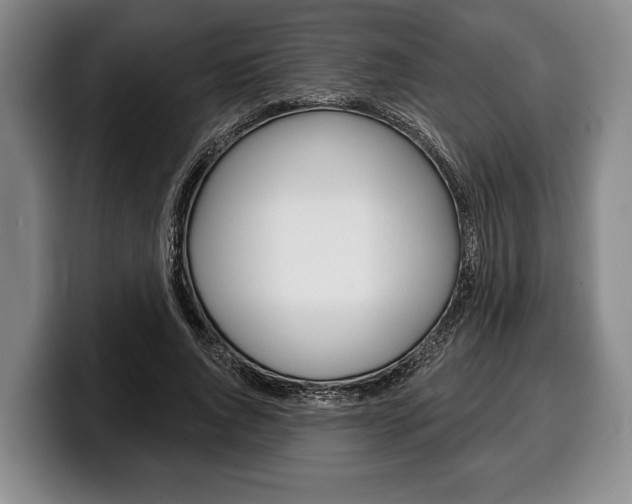 X0000100330736200806051203