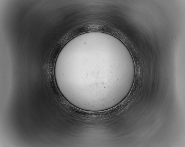 X0000100330737200806051203