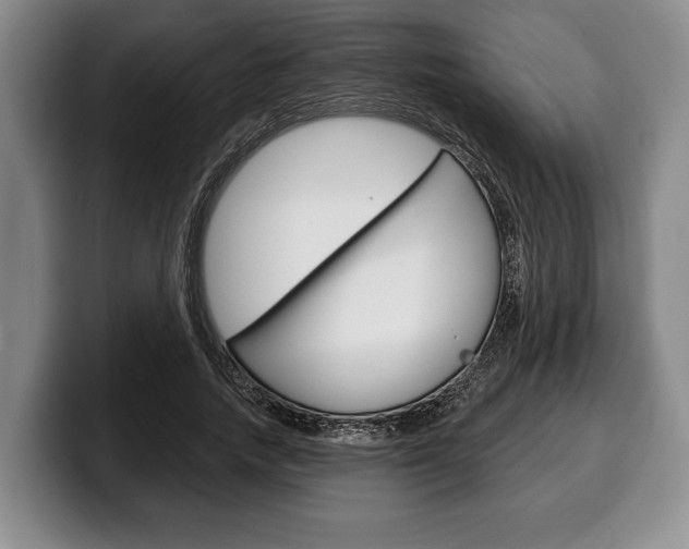 X0000100330738200806051203