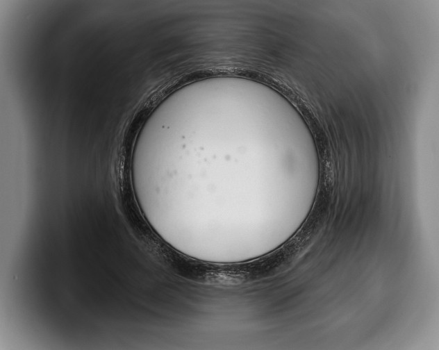 X0000100330739200806051203