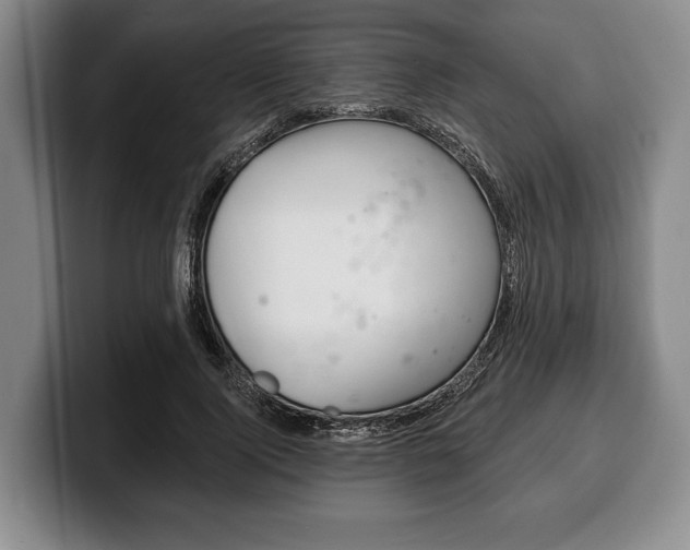 X0000100330740200806051203