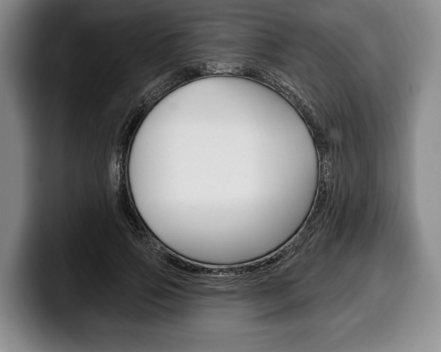X0000100330741200806051203