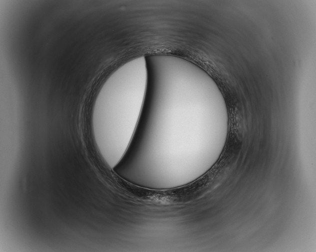 X0000100330742200806051203