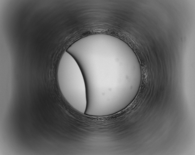 X0000100330745200806051203
