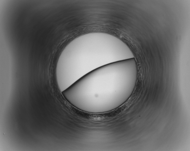 X0000100330746200806051203