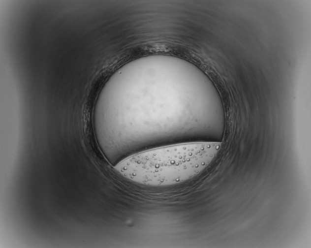 X0000100330747200806051203