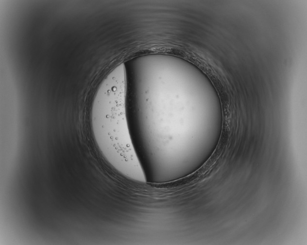 X0000100330748200806051203