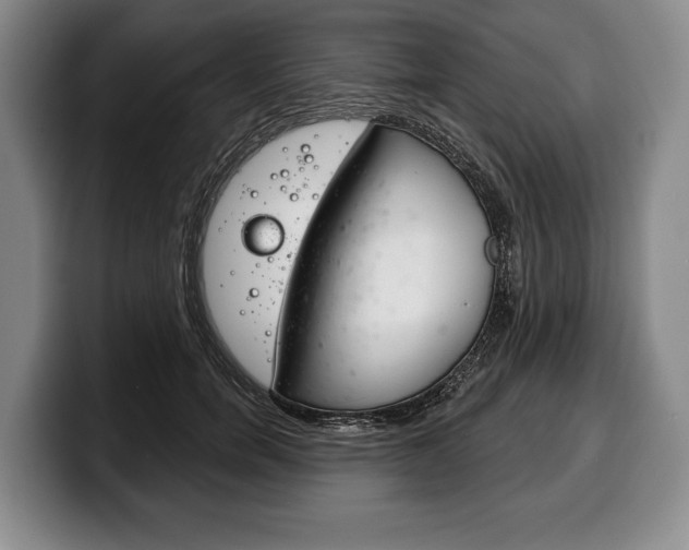X0000100330750200806051203