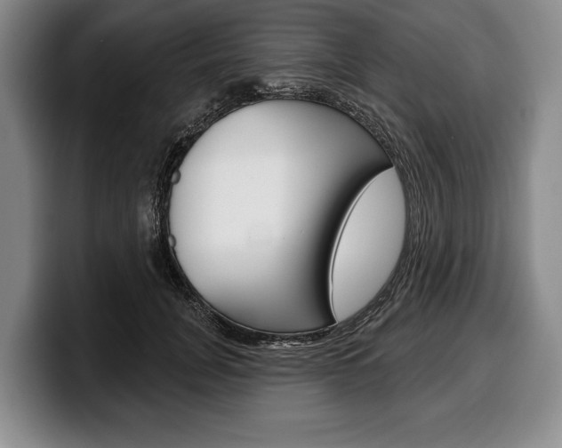 X0000100330751200806051203