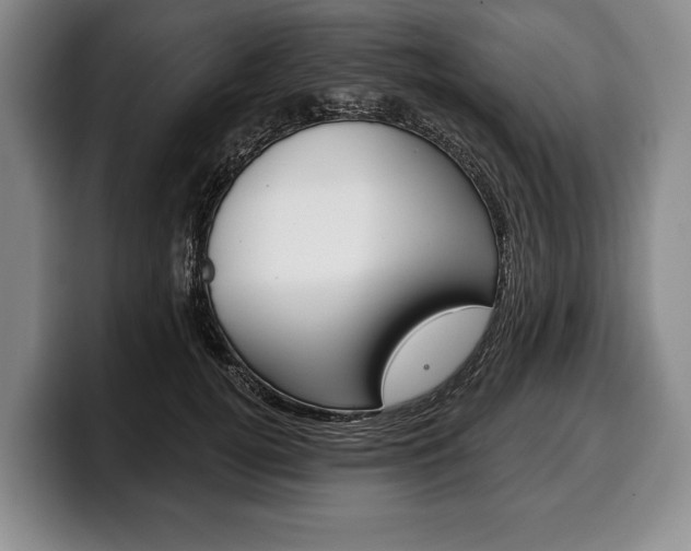 X0000100330752200806051203
